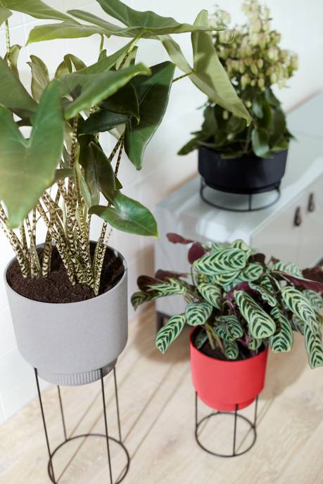 b.for studio rund 22cm brillantrot